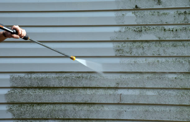 Best Office Mold Removal Services  in Saxapahaw, NC